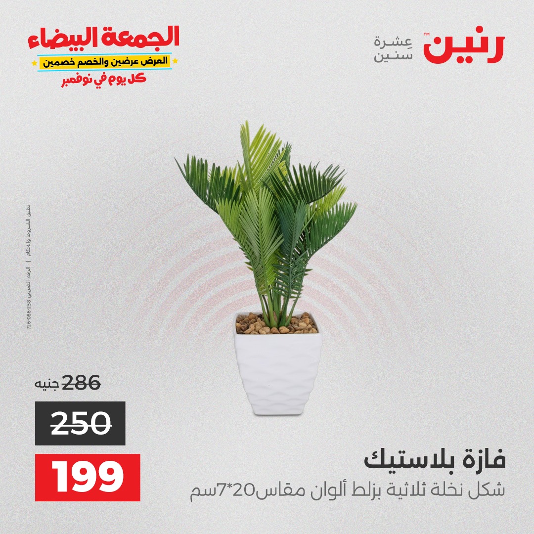 raneen offers from 4nov to 1nov 2025 عروض رنين من 4 نوفمبر حتى 1 نوفمبر 2025 صفحة رقم 161